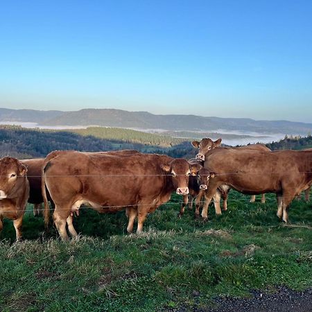 Gite De Montagne -Bellefosse Alsace Exteriér fotografie