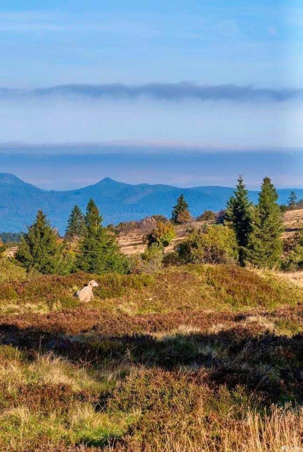 Gite De Montagne -Bellefosse Alsace Exteriér fotografie