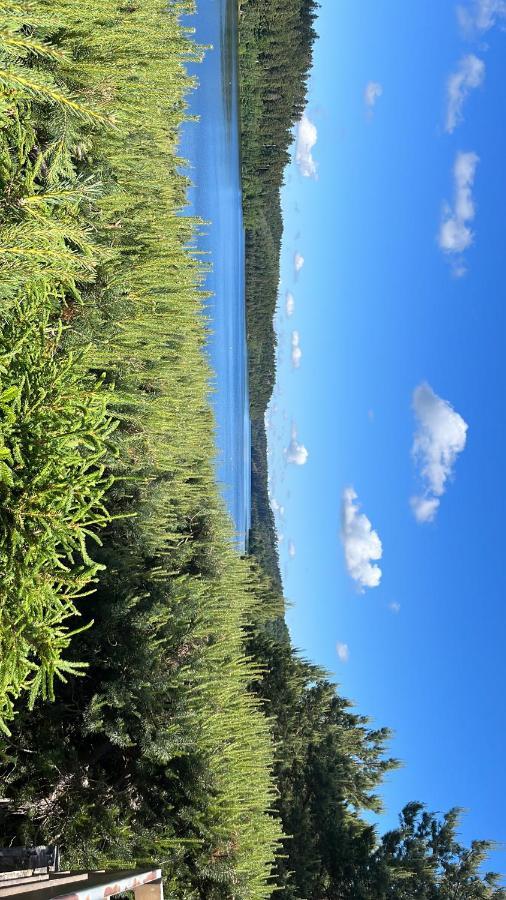 Gite De Montagne -Bellefosse Alsace Exteriér fotografie