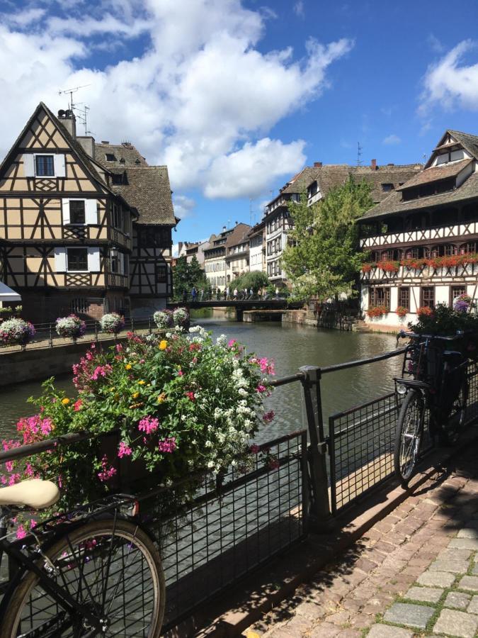 Gite De Montagne -Bellefosse Alsace Exteriér fotografie