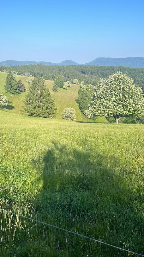 Gite De Montagne -Bellefosse Alsace Exteriér fotografie