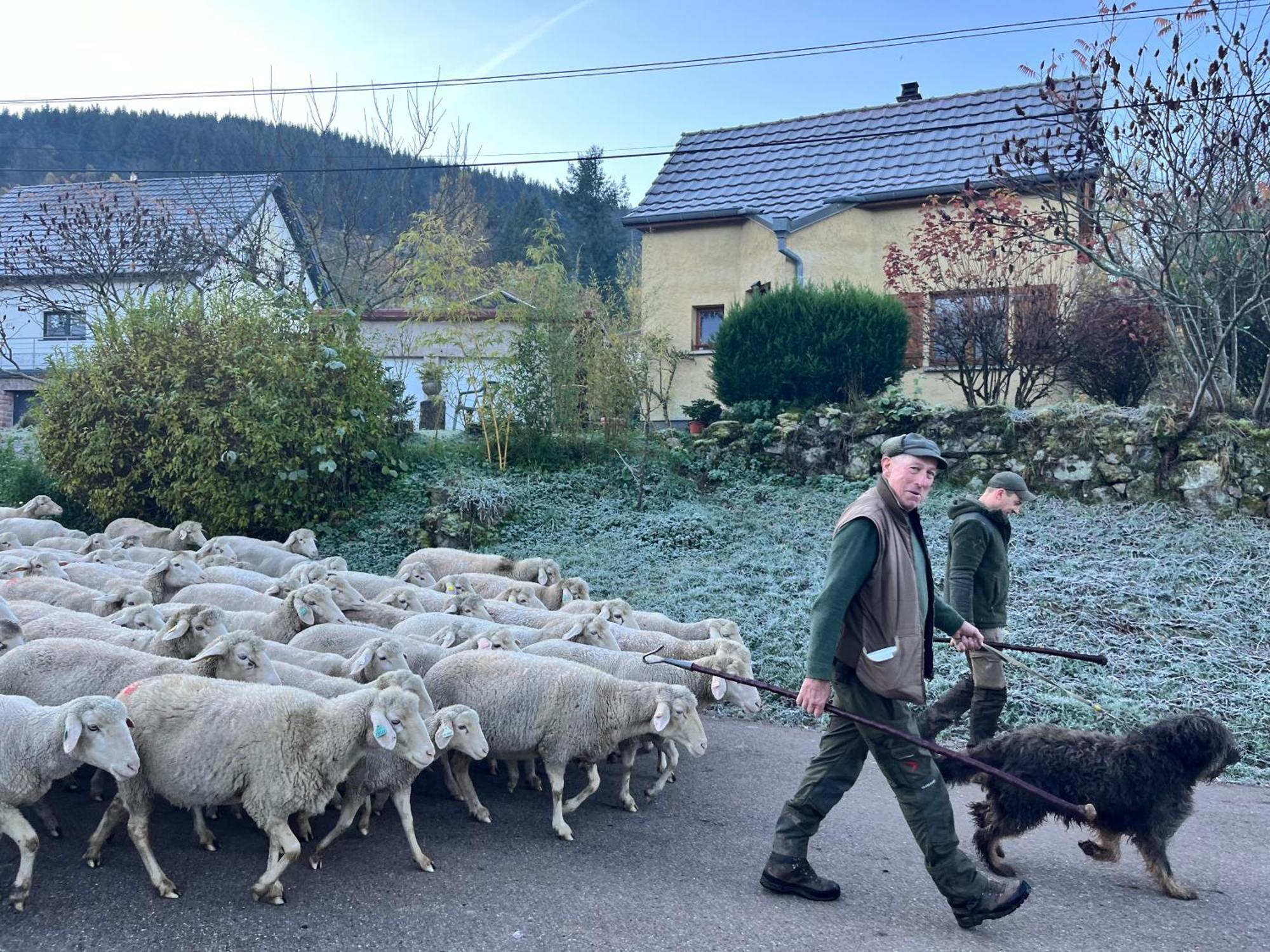 Gite De Montagne -Bellefosse Alsace Exteriér fotografie